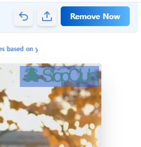 Magic Eraser 워터 마크 제거 툴 사용법1 - 워터마크 표시