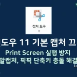 [윈도우 11] Print Screen 기본 캡처 끄기 (픽픽 단축키 충돌 해결) - 섬네일